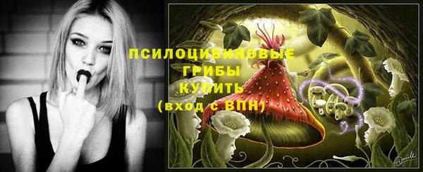 амф Каменск-Шахтинский